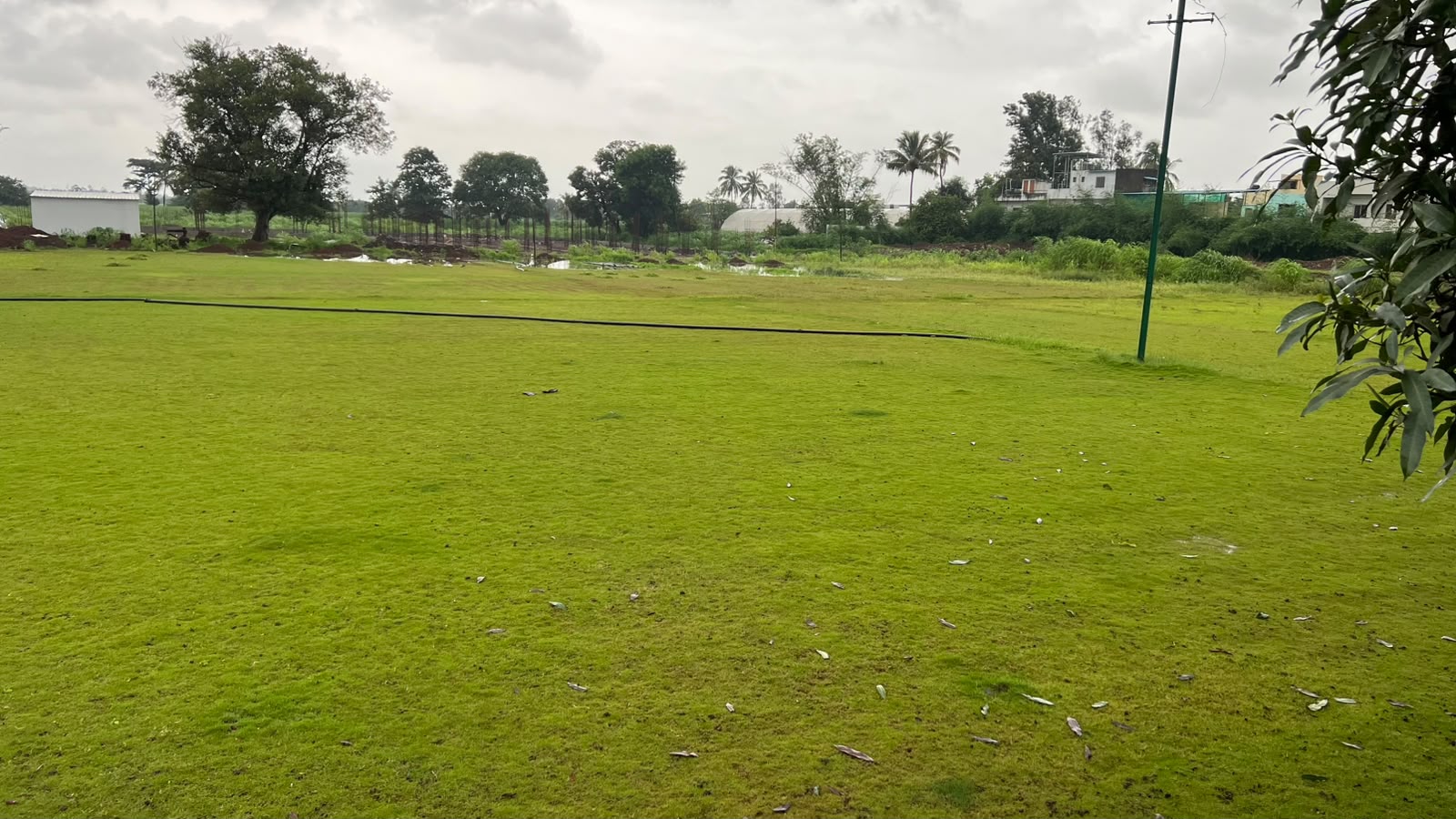 वेन्यू परिसर